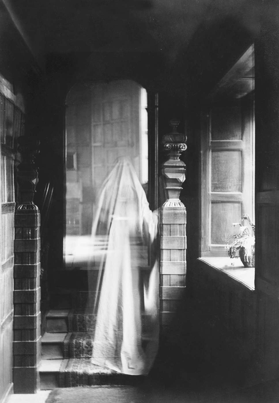 White Ghost Cactus: The Spectral Elegance Of Euphorbia Lactea Image Of Ghost, Produced By Double Exposure In 1899